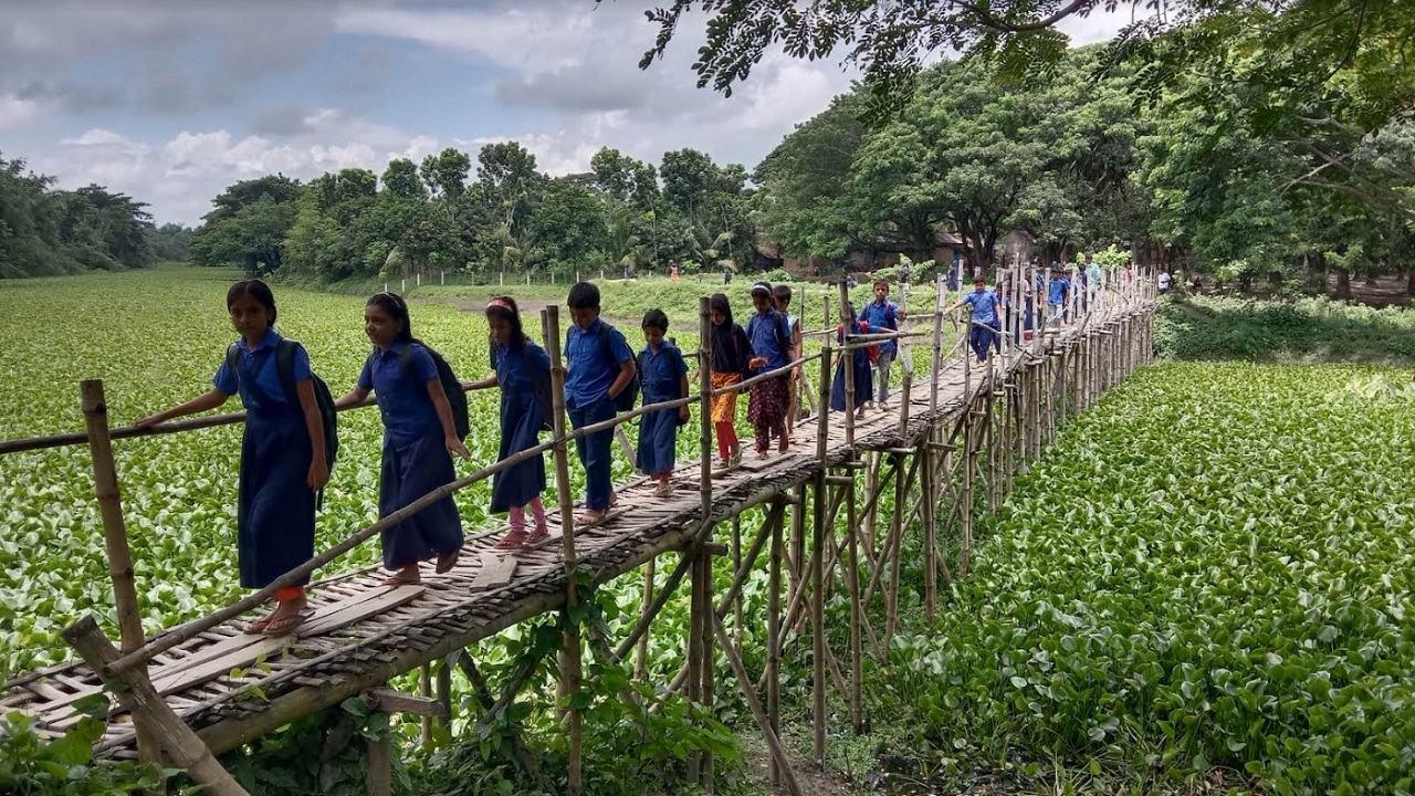 রায়টা সবুজবাগ সরকারি প্রাইমারি স্কুলের কোমলমতি শিশুরা অনিরাপদ বাঁশের সাঁকো পেরিয়ে স্কুলে আসছে। ছবি : কালবেলা