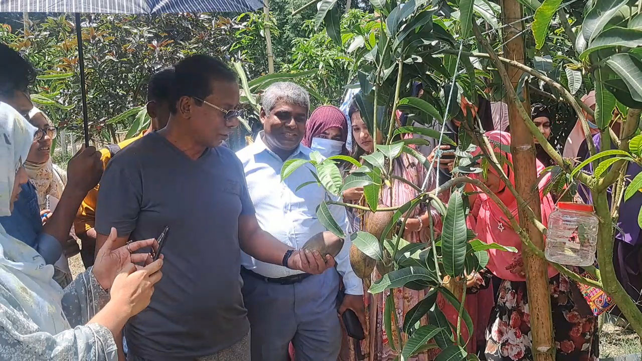 ইটভাটায় গড়ে ওঠা ফ্রুটস ভ্যালি অ্যাগ্রো ঘুরে দেখছেন নানা শ্রেণি-পেশার মানুষ। ছবি : কালবেলা