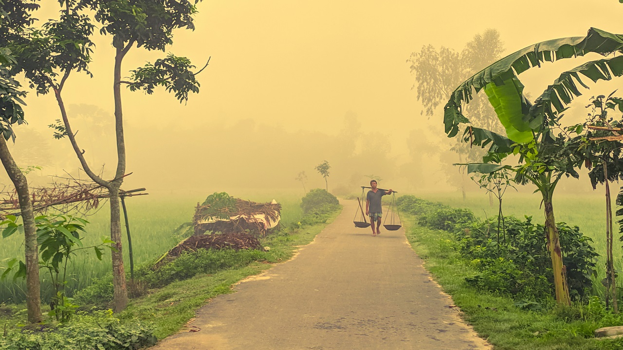 কুয়াশাচ্ছন্ন সকাল। ছবিটি দিনাজপুরের খানসামার হাসিমপুর গ্রাম থেকে তোলা। ছবি : কালবেলা