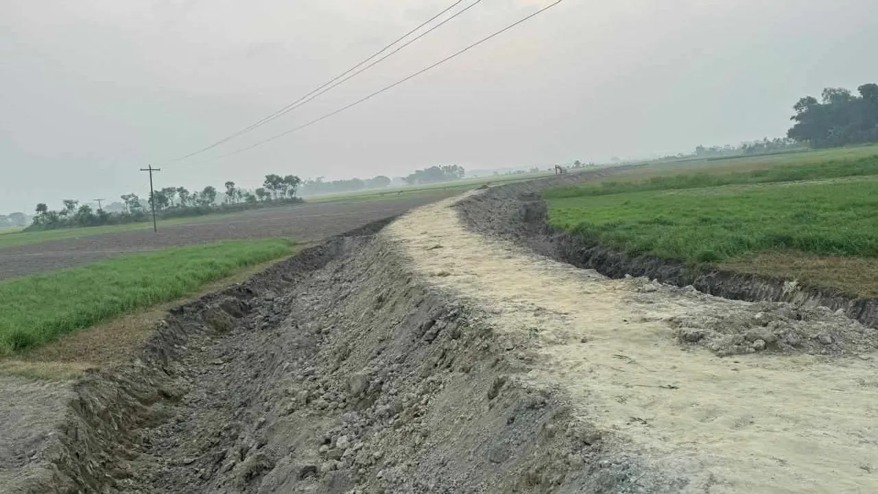 রাস্তার জন্য তিন ফসলি জমি কেটে ফেলা হয়েছে। ছবি : কালবেলা