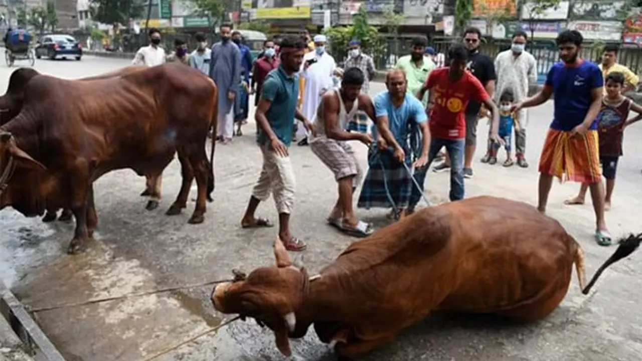 পুরোনো ছবি