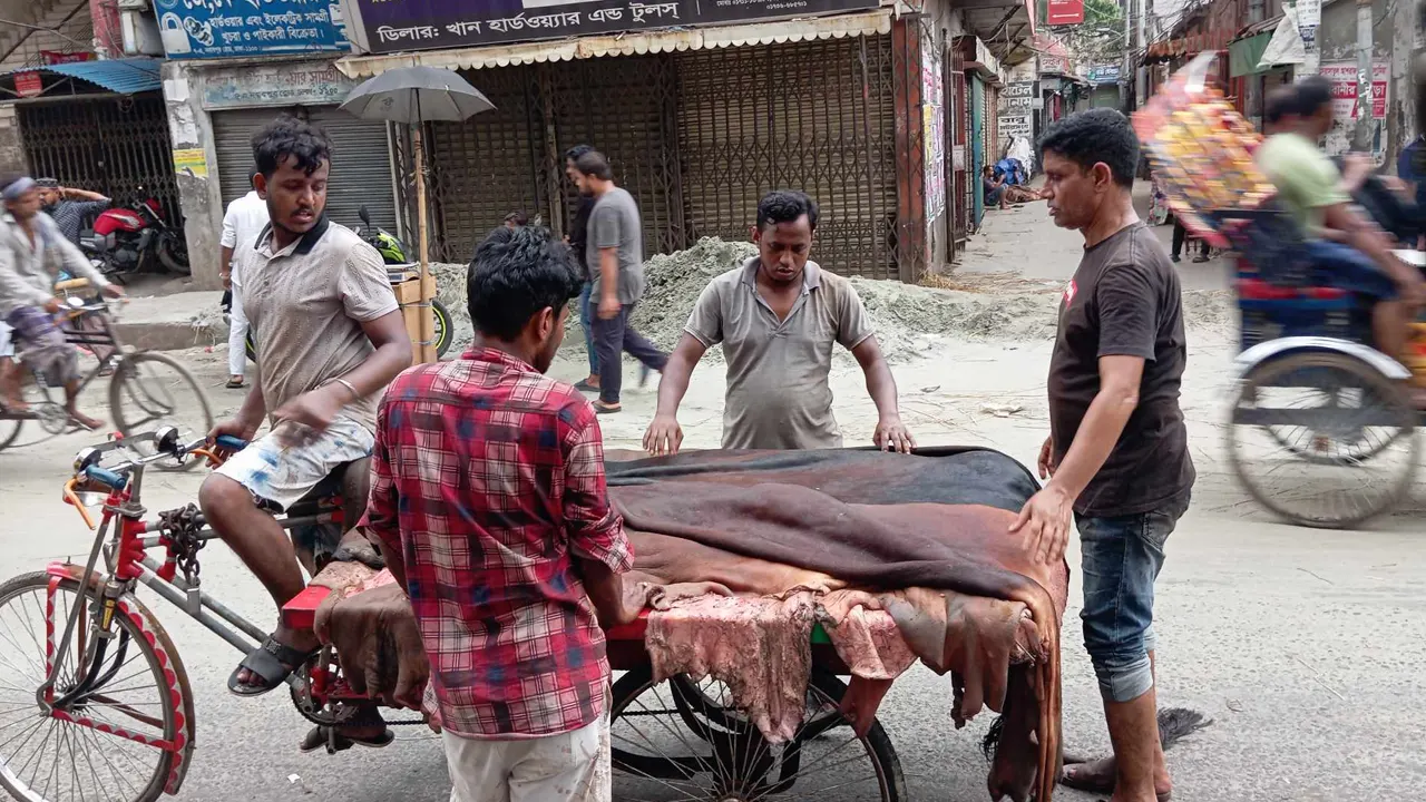 কোরবানির পশুর চামড়া বেচাকেনা। ছবি : কালবেলা