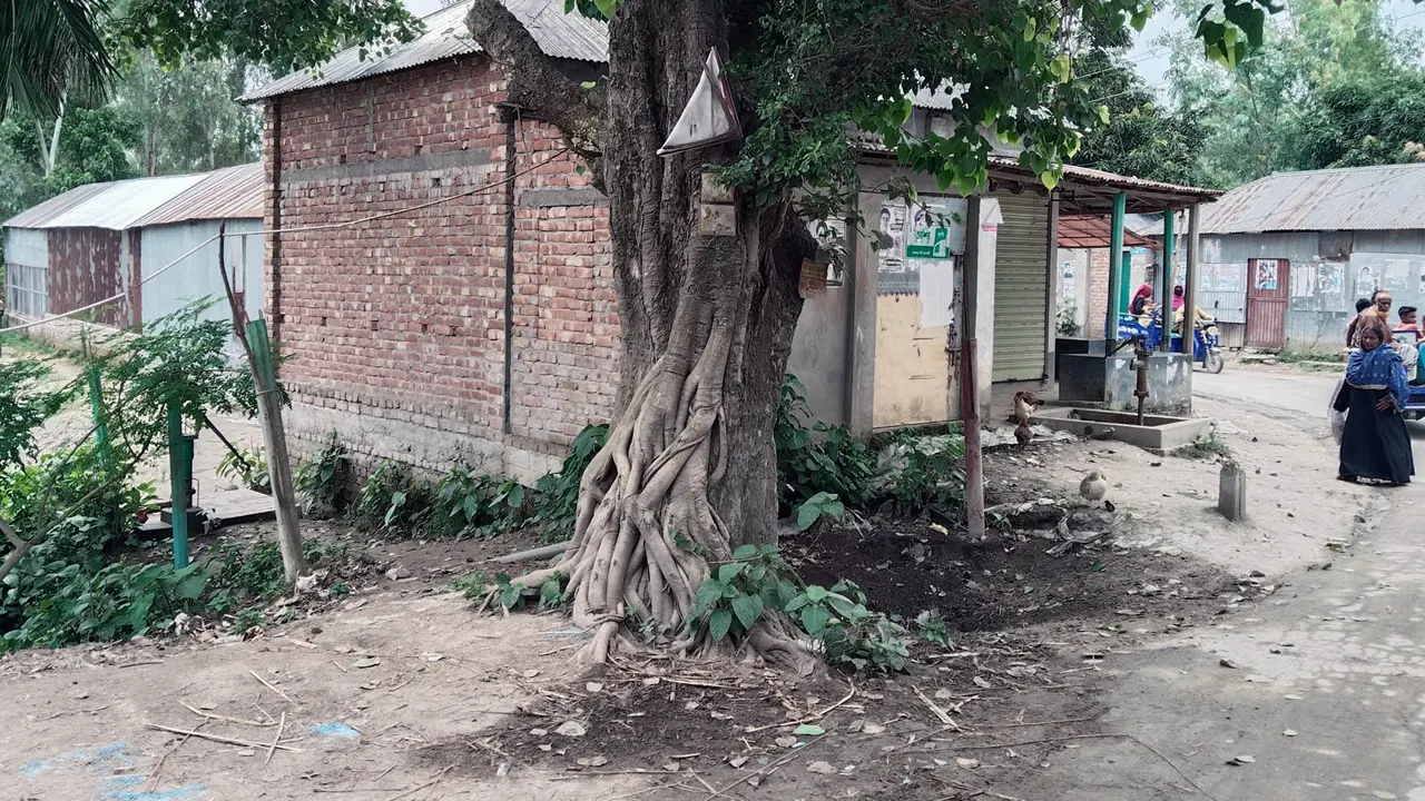 সরকারি জলাশয়ের জায়গা দখল করে দোকানঘর নির্মাণ করা হয়েছে। ছবি : কালবেলা