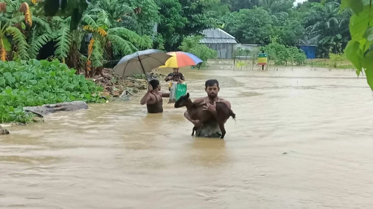 ছবি : সংগৃহীত