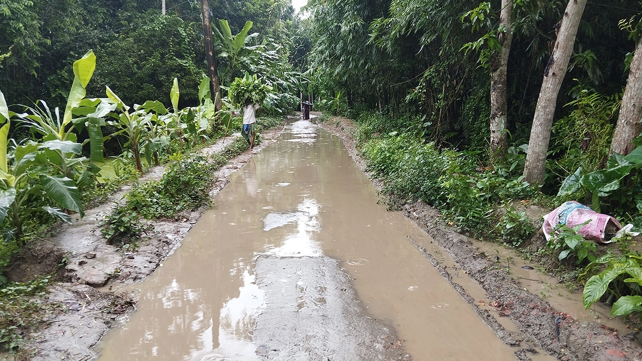 হরিরামপুর উপজেলার বাল্লা ইউনিয়নের ঝিটকা উজানপাড়া গ্রামের নির্মাণাধীন পাকা সড়ক। ছবি : কালবেলা