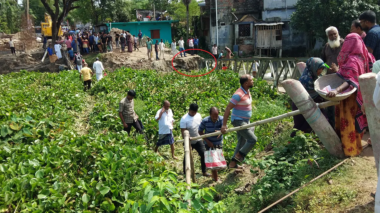 কচুরিপানায় বানানো হাঁটাপথে মানুষের পারাপার। ছবি : কালবেলা