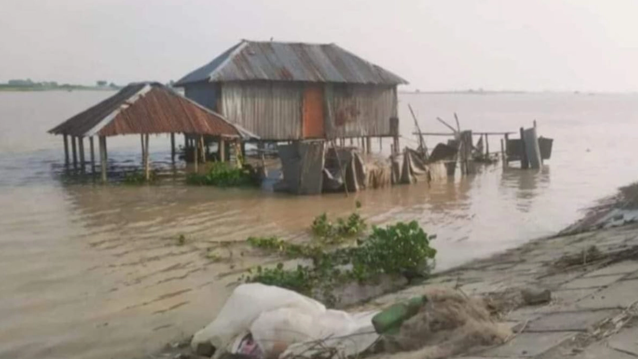 পানি বাড়তে শুরু করেছে কুষ্টিয়ার দৌলতপুরে। ছবি : কালবেলা