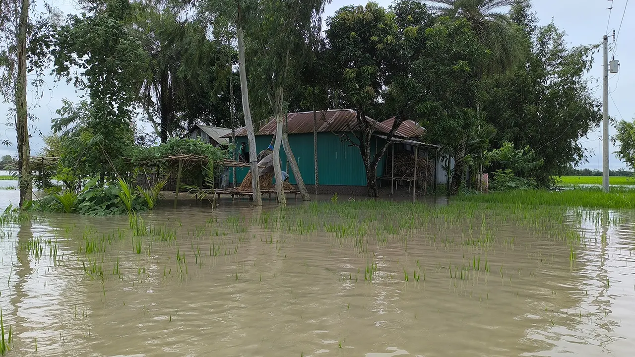 নীলফামারীতে পানিবন্দি প্রায় ৫ হাজার পরিবার। ছবি : কালবেলা