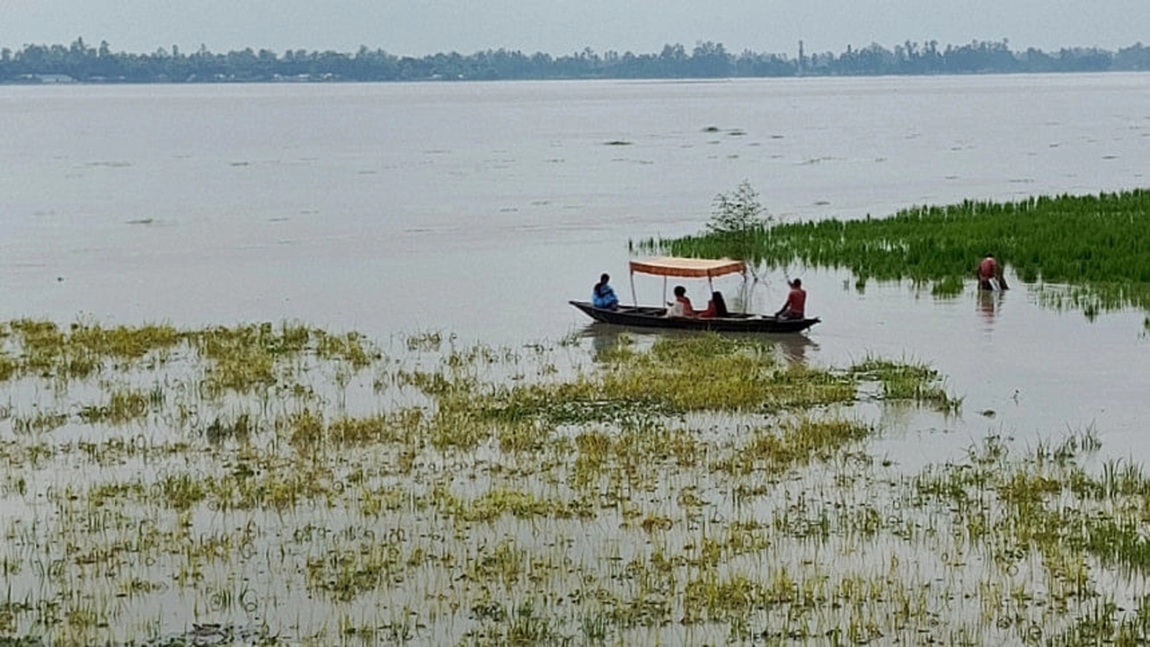 দহগ্রাম-আঙ্গরপোতা তিস্তাপাড় এলাকায় পানির নিচে তলিয়ে আছে ফসলের ক্ষেত। ছবি : কালবেলা