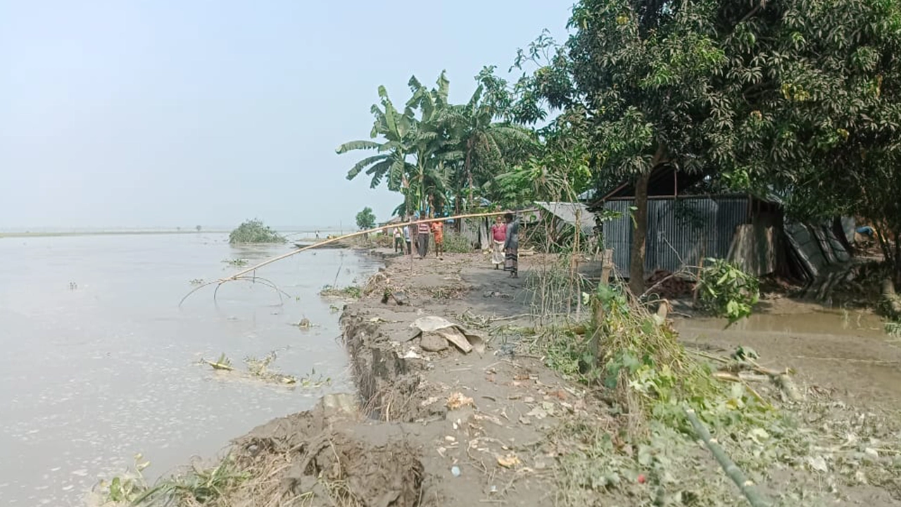 রংপুরের কাউনিয়ায় তিস্তার পানি কমলেও বাড়ছে ভাঙন আতঙ্ক। ছবি : কালবেলা