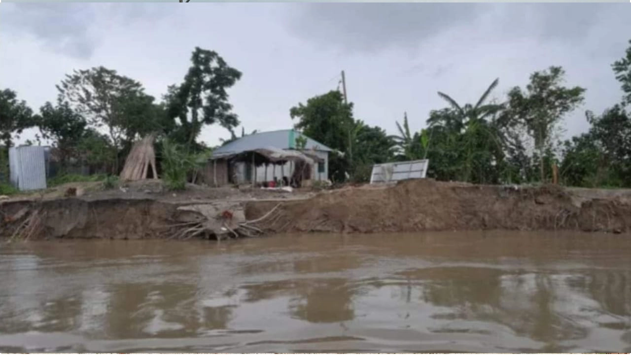 পদ্মা নদীতে পানি কমতে শুরু করেছে, দেখা দিয়েছে ভাঙন। ছবি কালবেলা