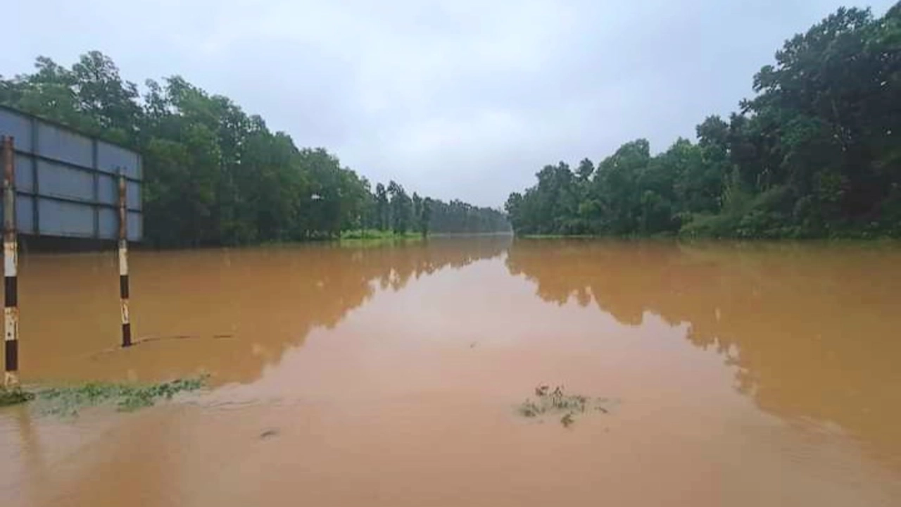 শেরপুরে পাহাড়ি ঢলের পানি। ছবি : কালবেলা