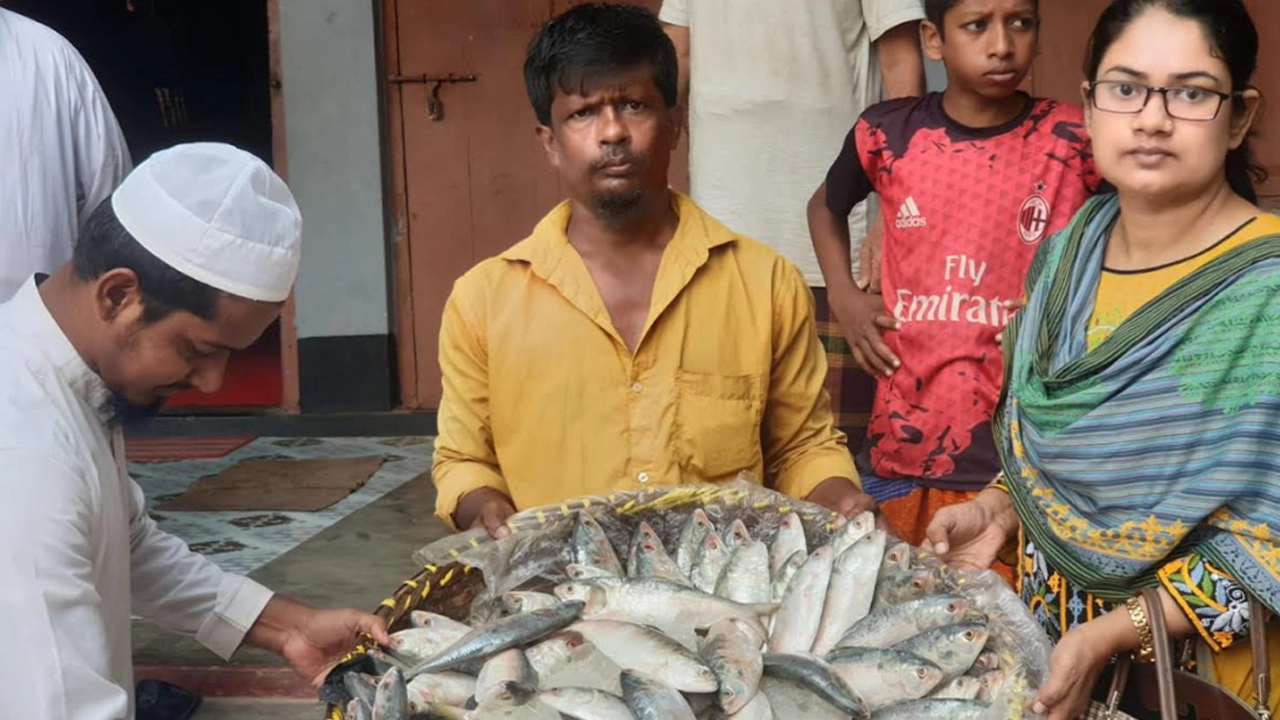 জব্দকৃত ইলিশ মাছ দেওয়া হয় এতিমখানায়। ছবি : সংগৃহীত