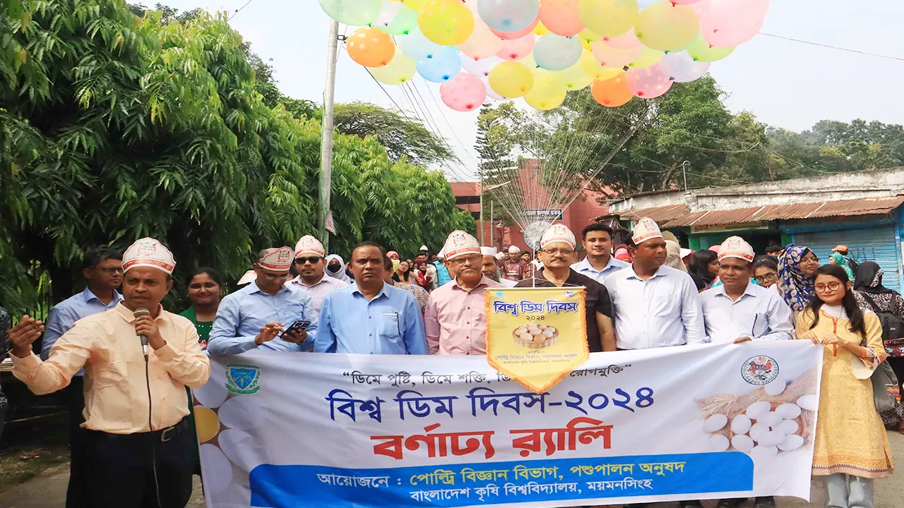 ‘বিশ্ব ডিম দিবস ২০২৪’ উপলক্ষে বাকৃবির বর্ণাঢ্য র‍্যালি। ছবি : কালবেলা