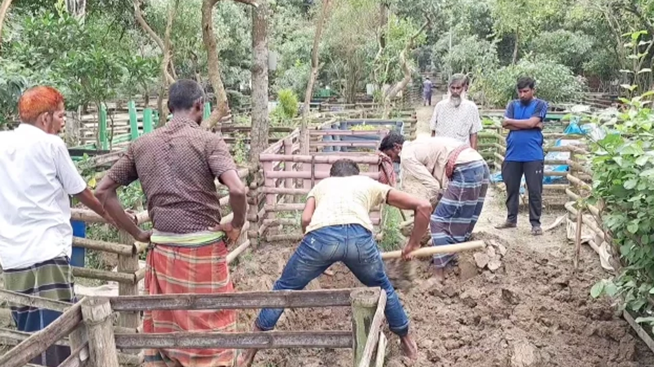 ময়নাতদন্তের জন্য বাসচালক সামচু মোল্যার লাশ উত্তোলন করেছে প্রশাসন। ছবি : কালবেলা