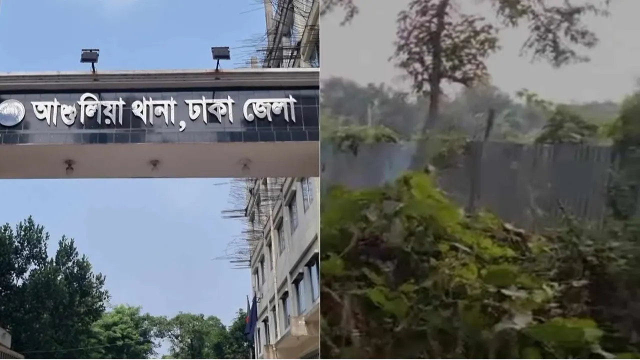 ছবি : সংগৃহীত