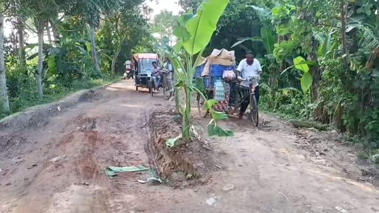 সড়কের মাঝখানে কলাগাছ লাগিয়ে প্রতিবাদ। ছবি : কালবেলা