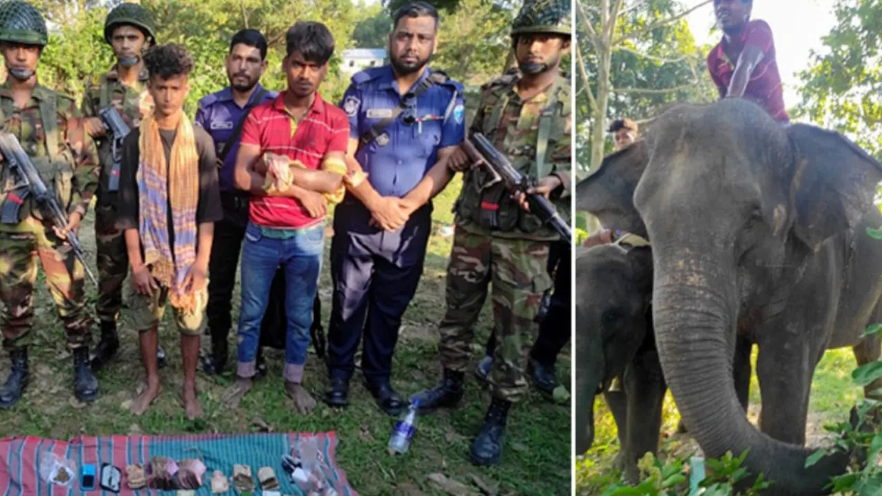 হাতি রাখার জায়গা নাই, দুই মাহুতকে ছেড়ে দিল পুলিশ