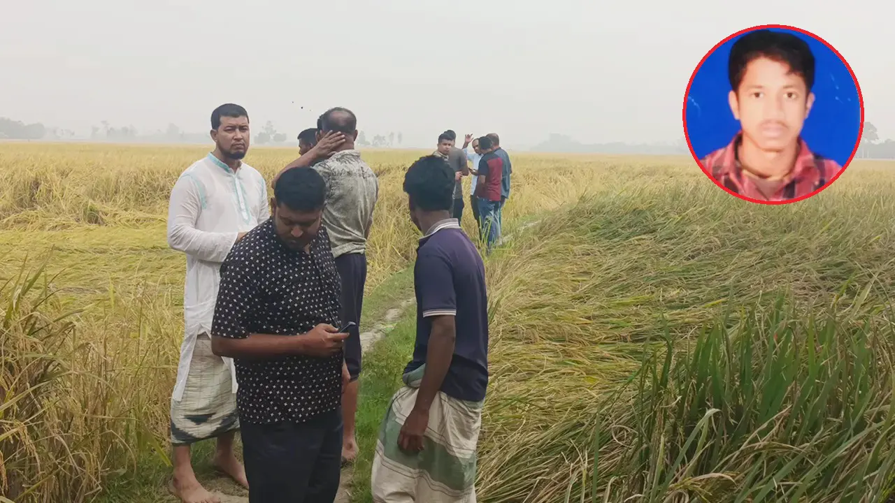 ধানক্ষেত থেকে উদ্ধার করা হয় হাতের হাড় ও নাড়িভুঁড়ি। ছবি : কালবেলা