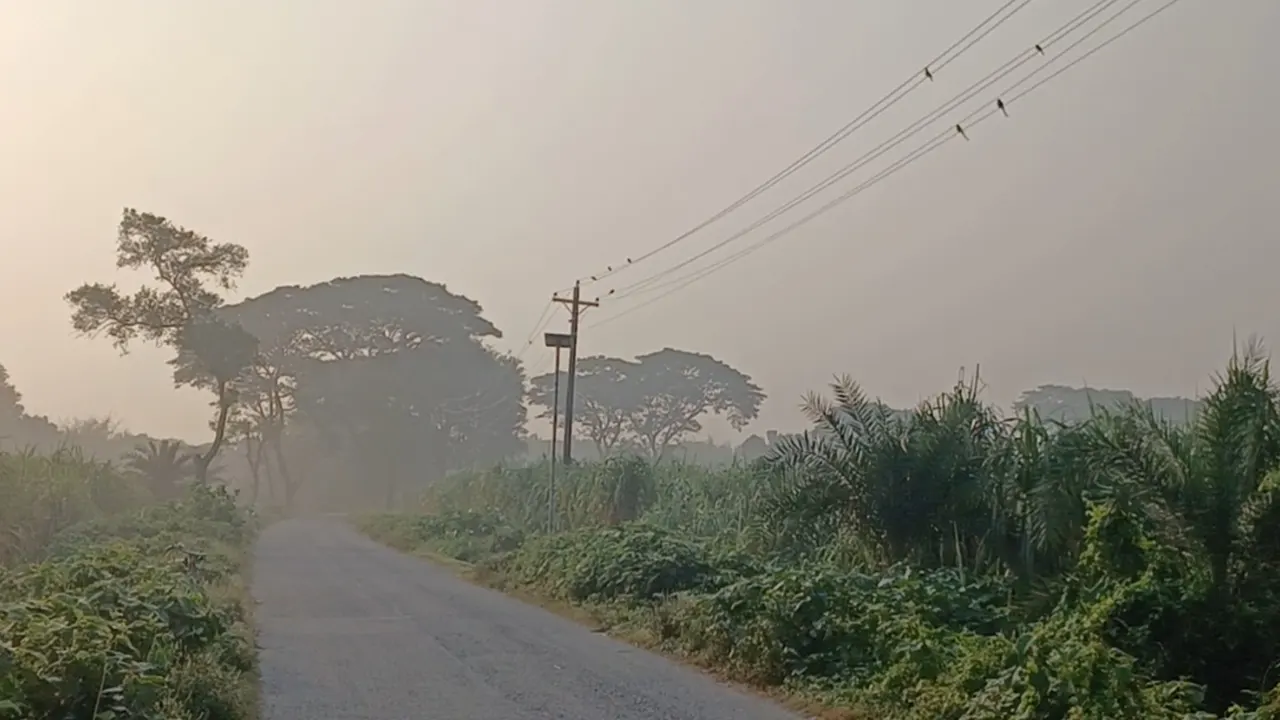 ঘন কুয়াশায় ছেয়ে গেছে চুয়াডাঙ্গা। ছবি : কালবেলা