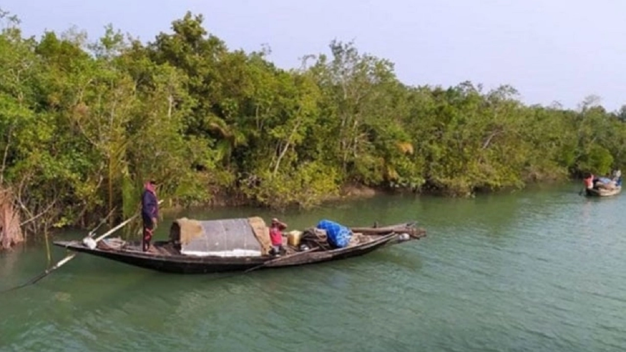 সুন্দরবনে নৌকা নিয়ে মাছ ধরতে যাচ্ছেন জেলেরা। পুরোনো ছবি