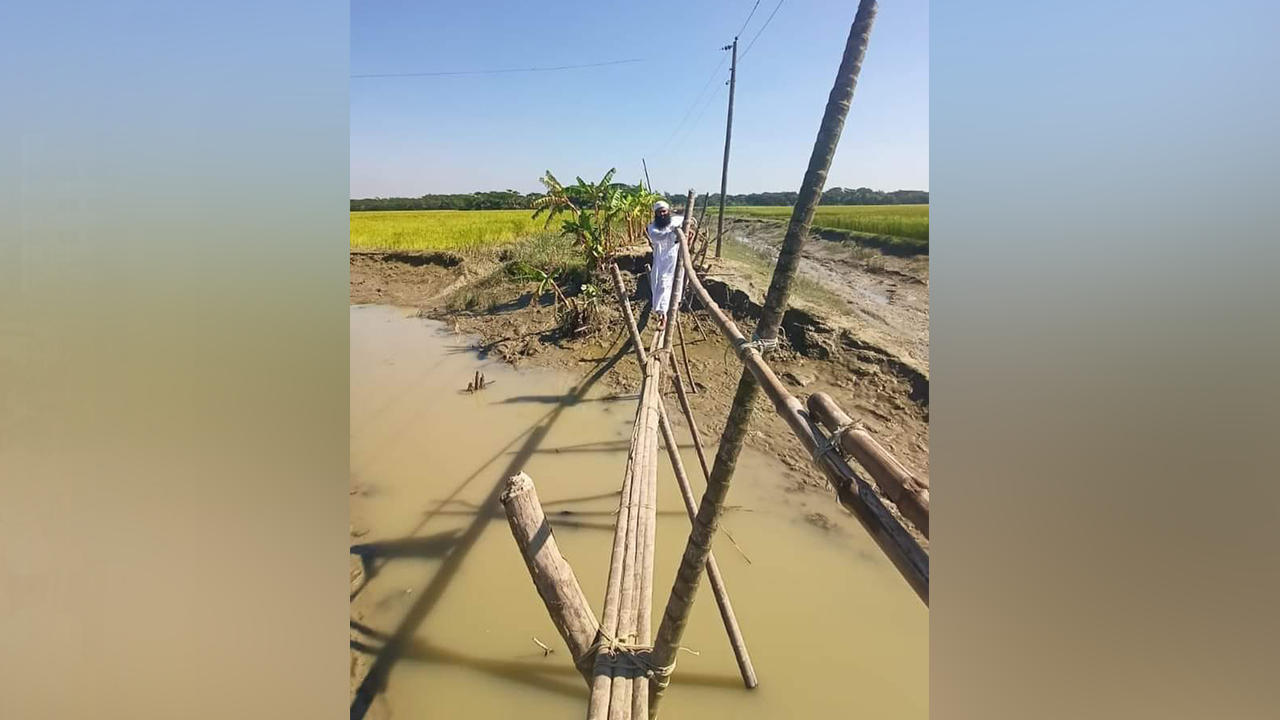 ঝুঁকি নিয়ে সাঁকো পার হন গ্রামবাসী। ছবি : কালবেলা