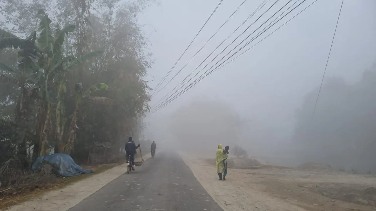 তেঁতুলিয়ার শীতের সকালের স্থিরচিত্র। ছবি : কালবেলা