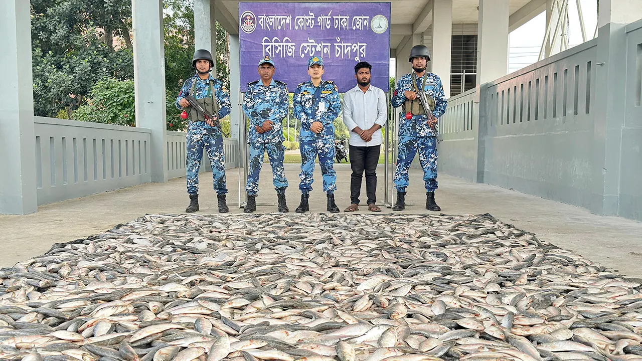 চাঁদপুরে ১৬শ কেজি জাটকা জব্দ করে কোস্টগার্ড। ছবি : কালবেলা