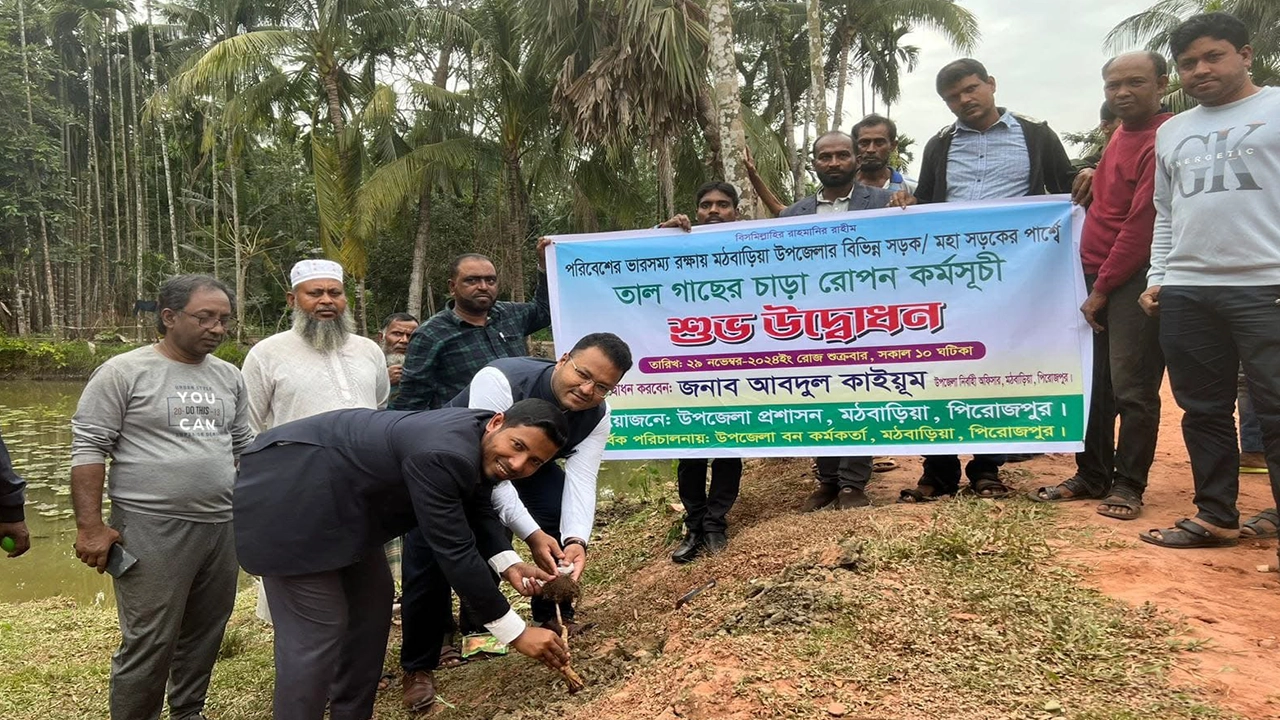 পিরোজপুরের মঠবাড়িয়া উপজেলায় প্রাকৃতিক দুর্যোগ মোকাবিলায় তালবীজ রোপণ কার্যক্রমের উদ্বোধন। ছবি : কালবেলা