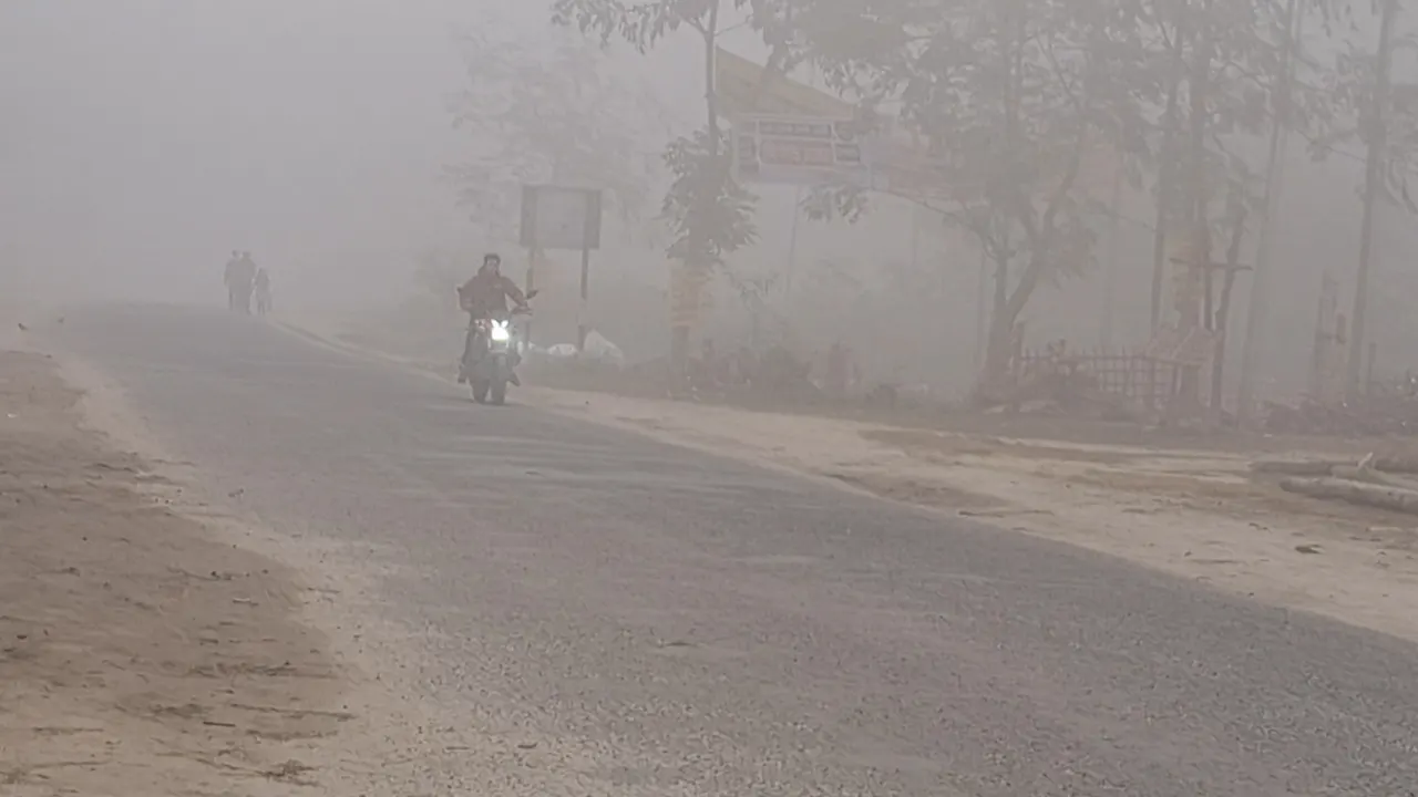 তেঁতুলিয়ার কুয়াশাচ্ছন্ন সড়ক। ছবি : কালবেলা