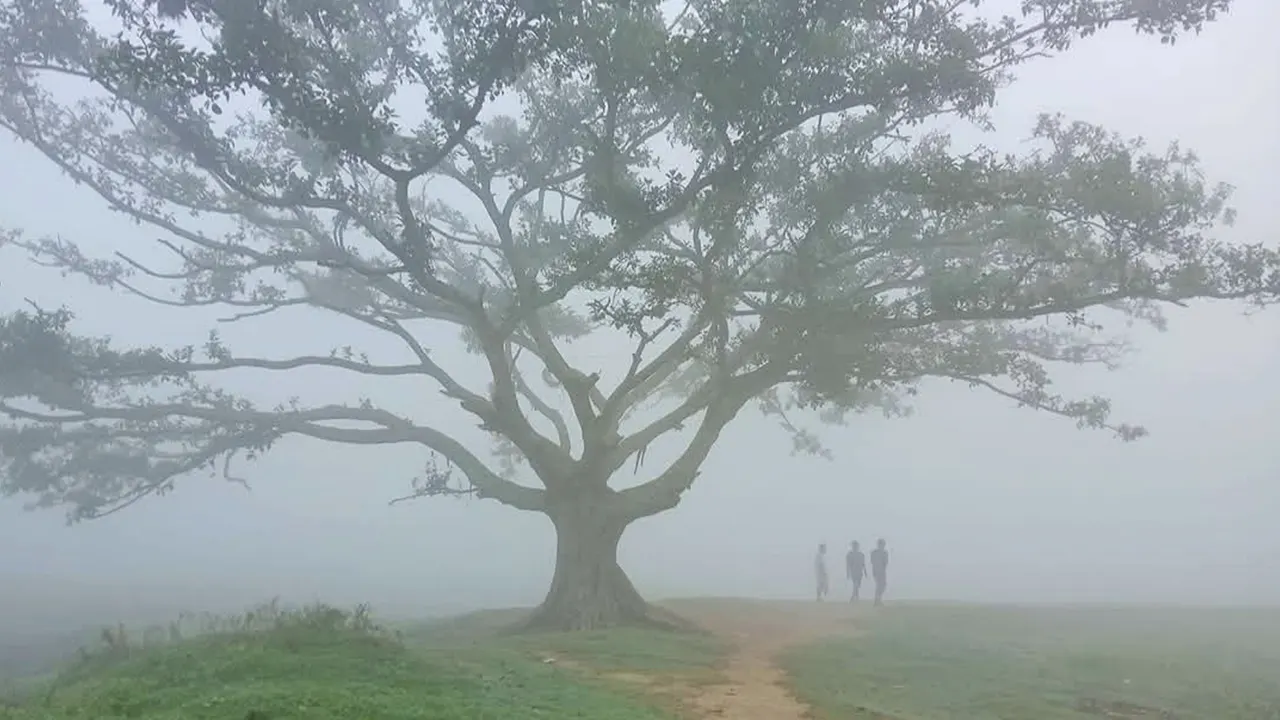 শীতের দাপটে কাবু দিনাজপুরের মানুষ