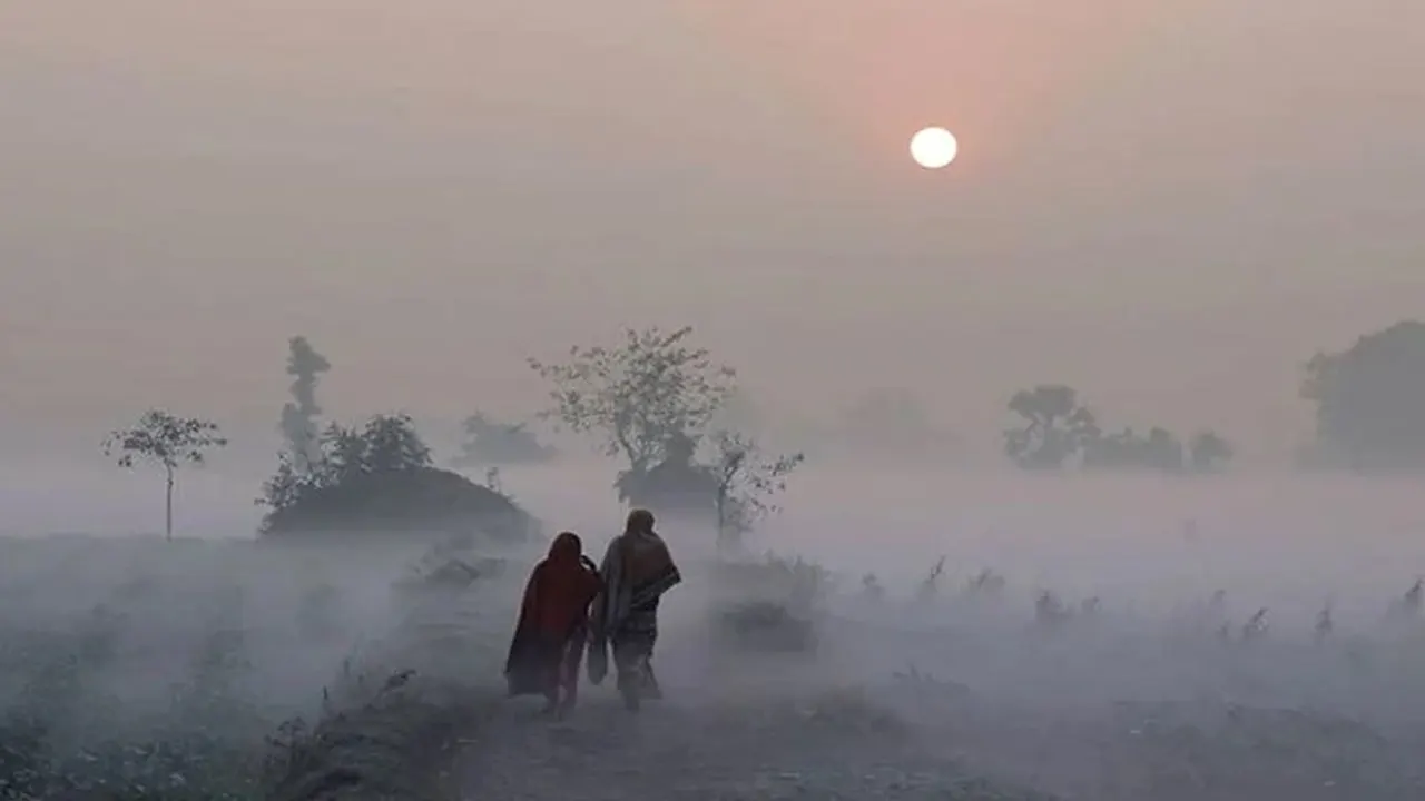 পুরোনো ছবি