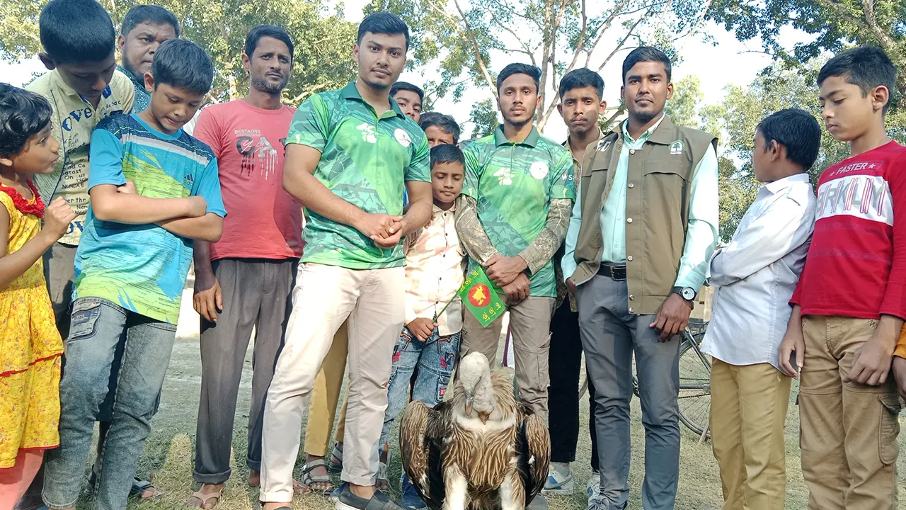 উদ্ধারকৃত শকুনটিকে বনবিভাগের প্রতিনিধির কাছে হস্তান্তর করা হয়। ছবি : কালবেলা 