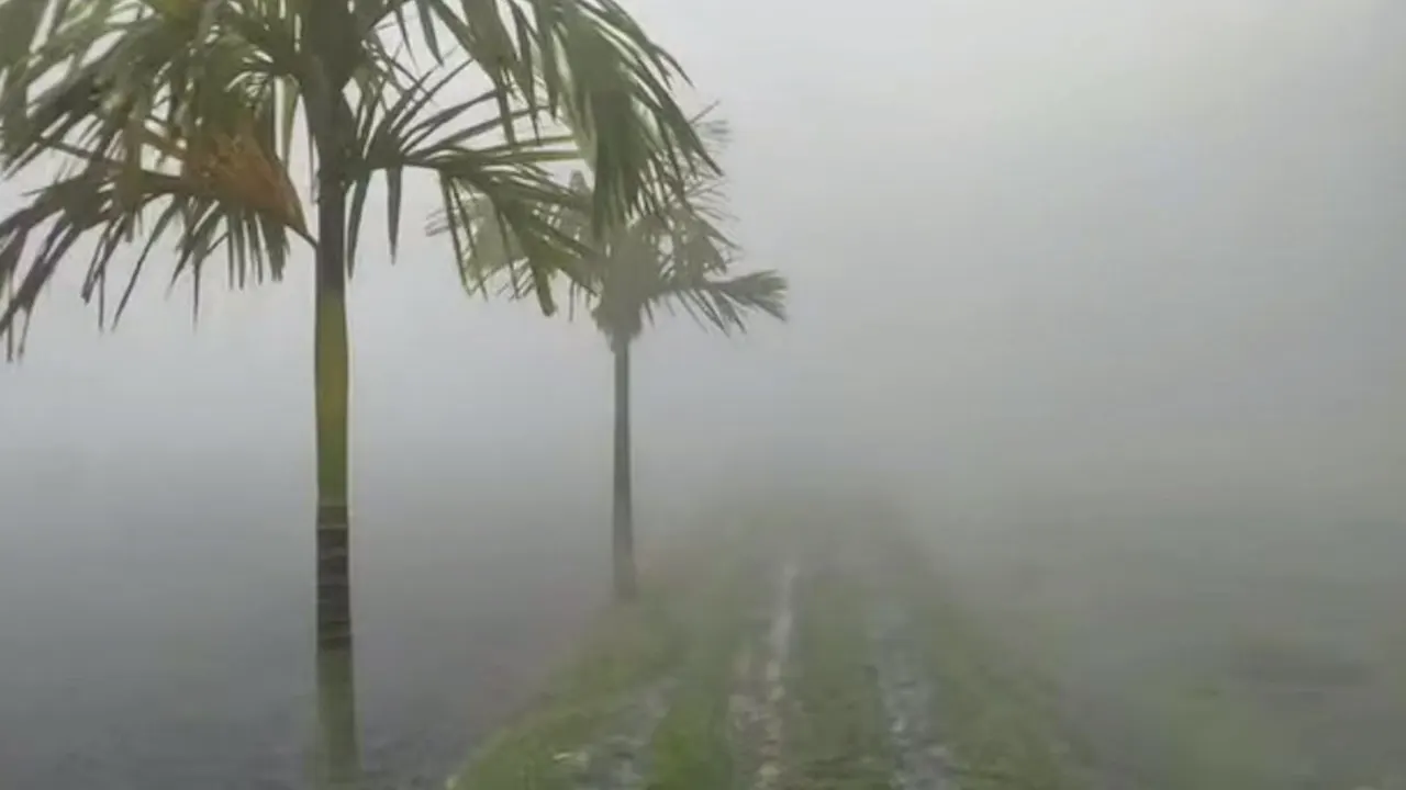 শীতে কাঁপছে দিনাজপুর