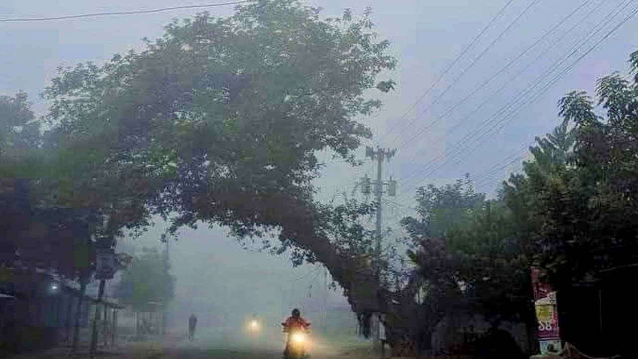 ঘন কুয়াশায় হেড লাইট জ্বালিয়ে চলছে যানবাহন। ছবি : কালবেলা