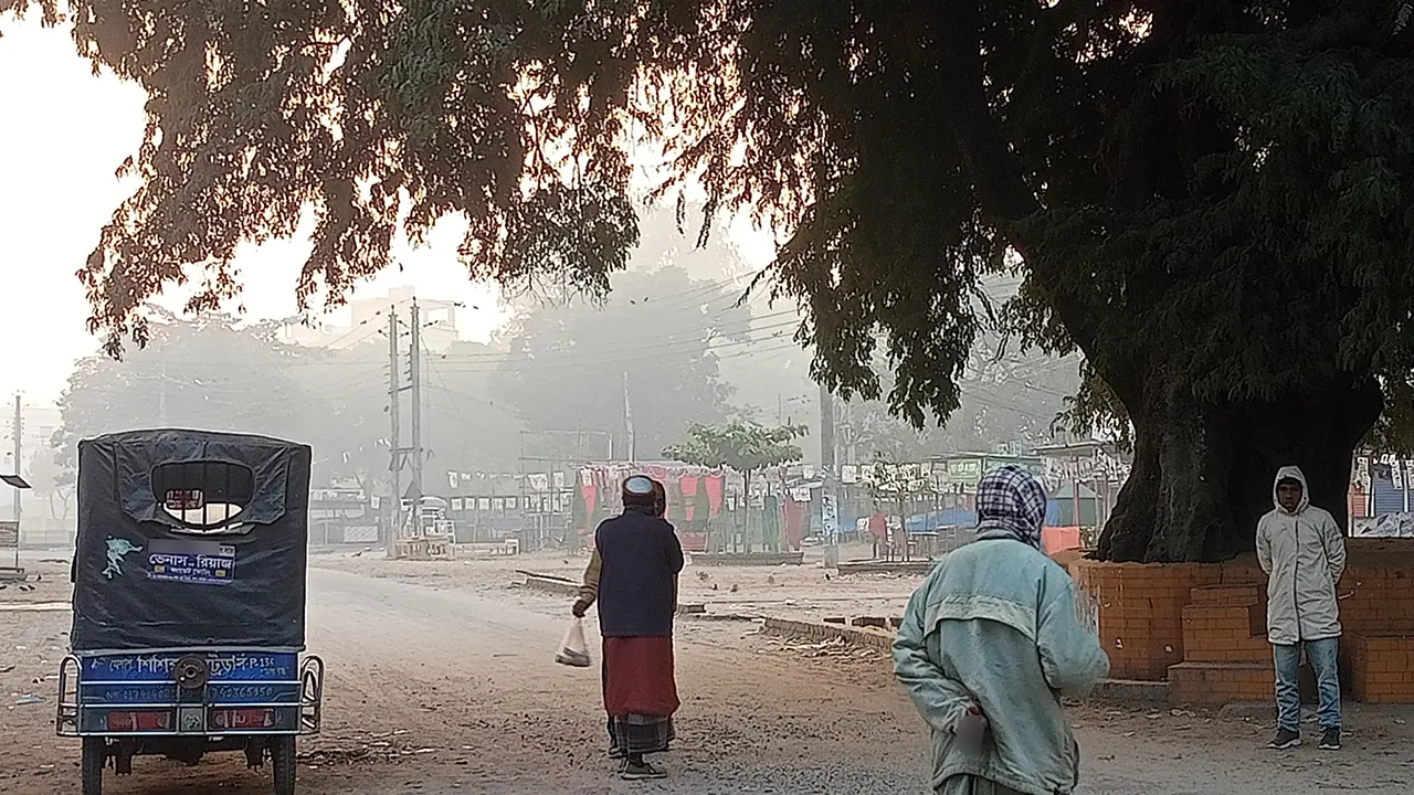 তেঁতুলিয়ায় কমছে শীতের তীব্রতা, তাপমাত্রা ১১ ডিগ্রি