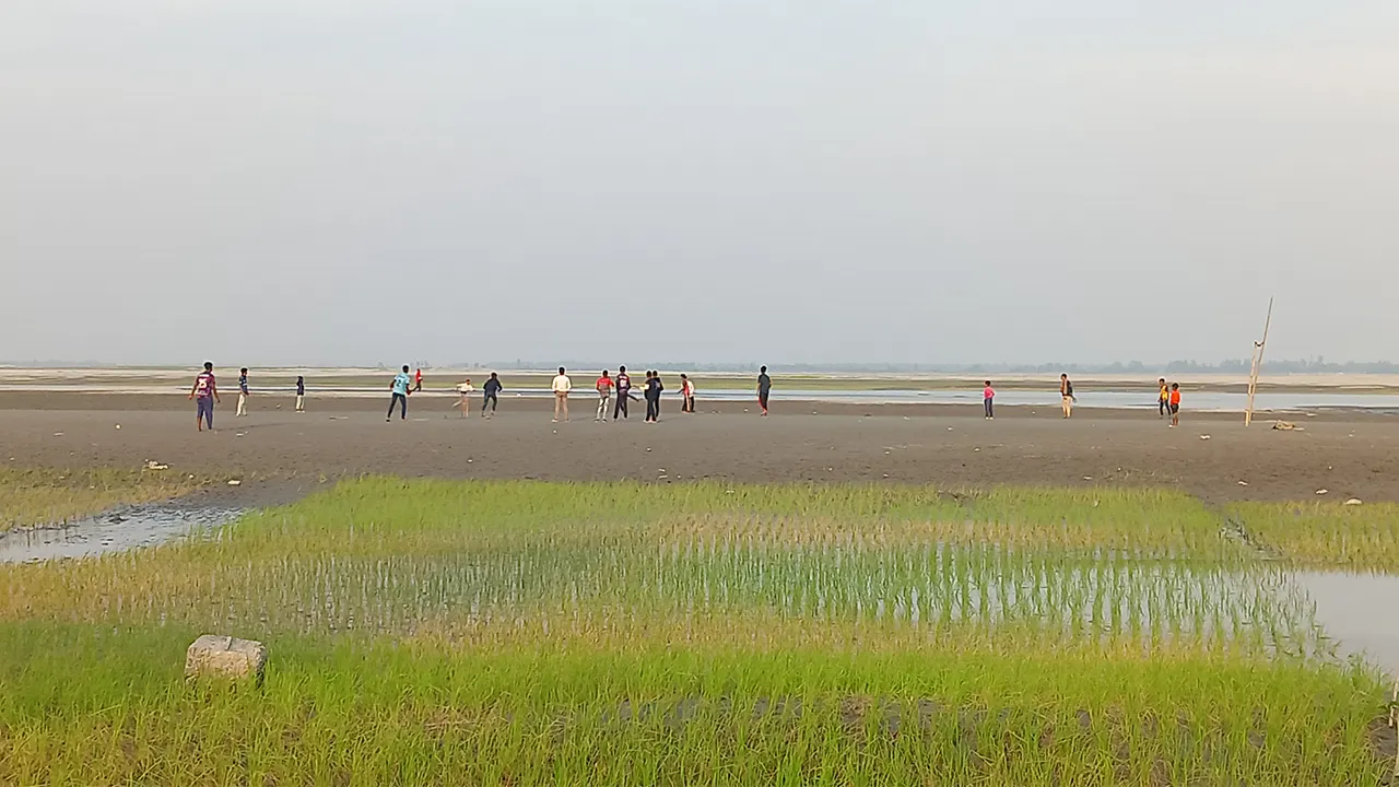 যমুনার বুকে চলছে ক্রিকেট খেলা। ছবি : কালবেলা