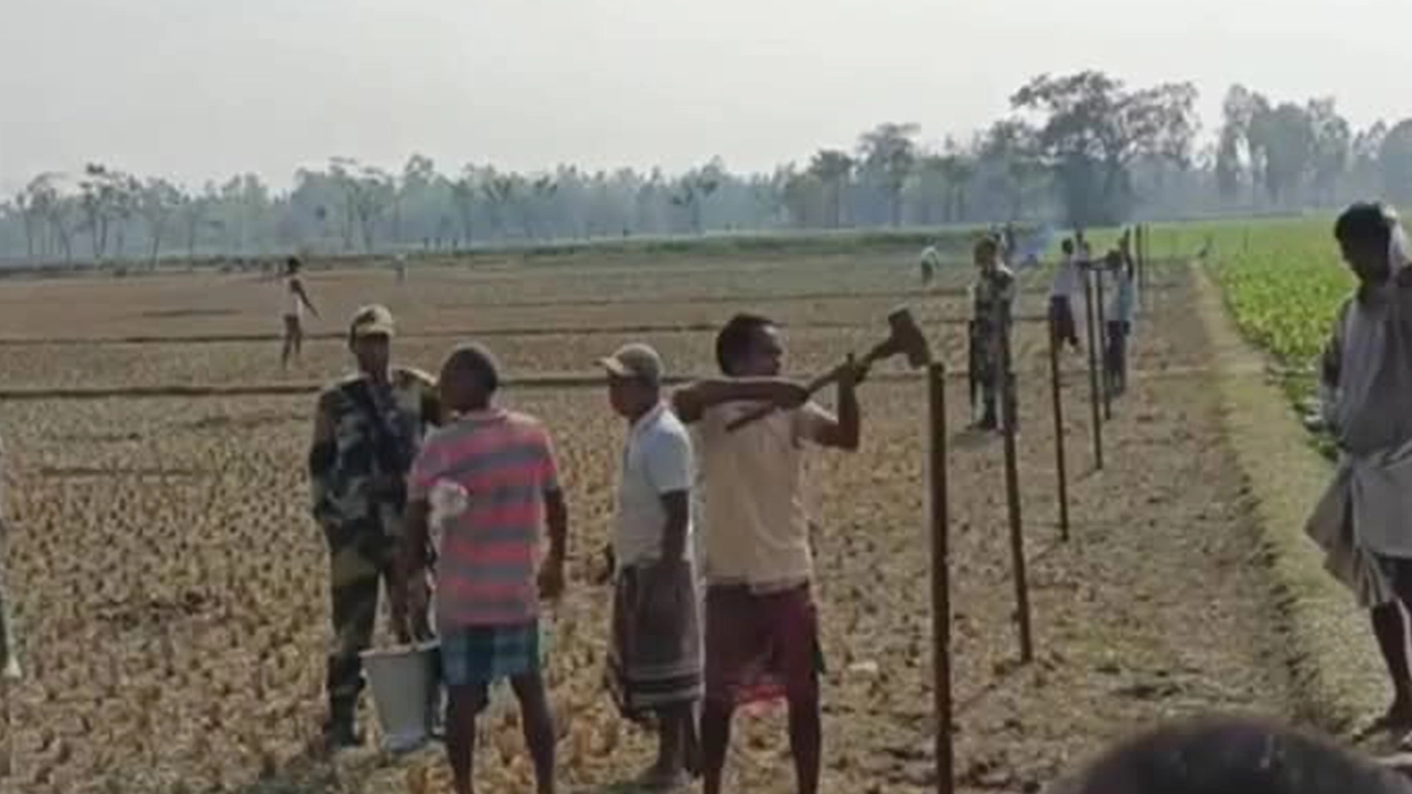 ভারতীয় সীমান্তরক্ষী বাহিনীর (বিএসএফ) সদস্যদের সহায়তায় কাঁটাতারের বেড়া নির্মাণ। ছবি : কালবেলা