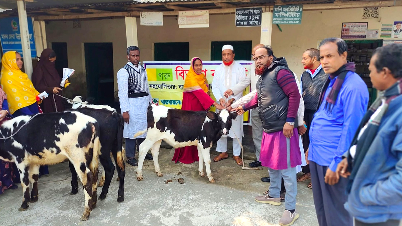 পাবনায় হতদরিদ্র মহিলাদের হাতে গাভীর বাছুর দিয়ে ফটোসেশন এনজিওর। ছবি : সংগৃহীত।