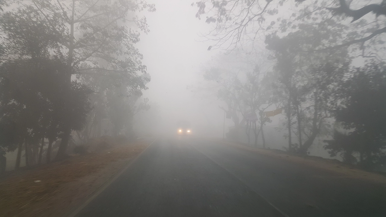 ঘনকুয়াশায় দিনের বেলায় হেড লাইট জ্বালিয়ে গাড়ি চলছে সিরাজগঞ্জের সড়কে। ছবি : কালবেলা