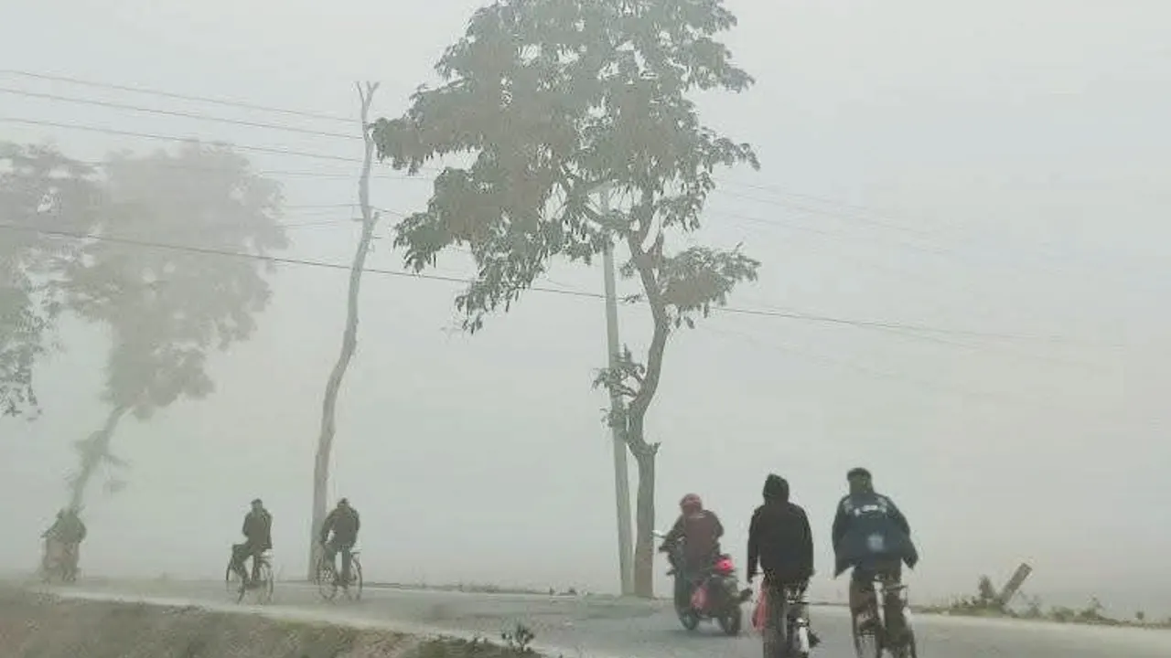 দিনাজপুরের শীতের সকাল। ছবি : কালবেলা