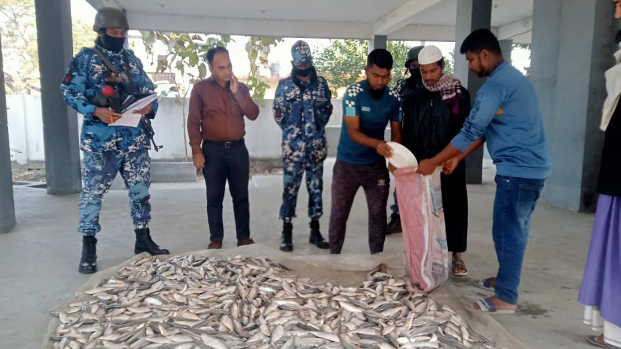 জব্দ করা জাটকা এতিমখানা ও দুস্থদের মাঝে বিতরণ করা হয়েছে। ছবি : সংগৃহীত