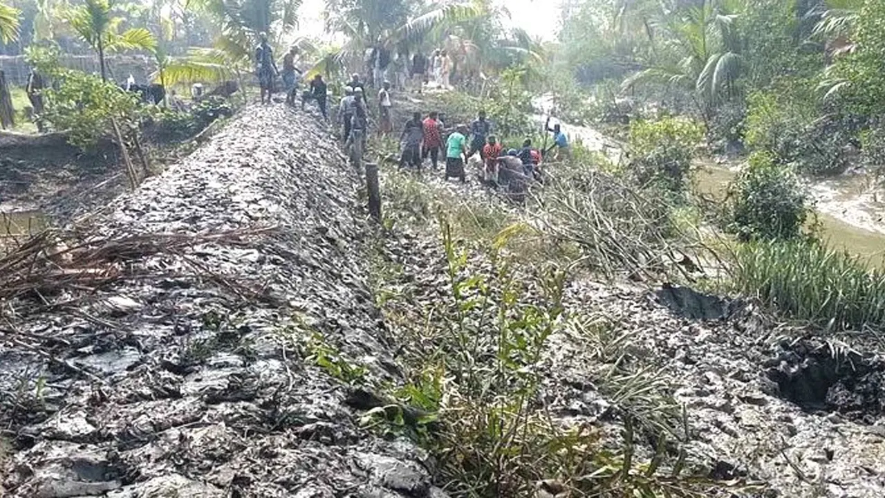 বাগেরহাট সদর উপজেলার ভৈরব নদীর পাশে চাপাতলা গ্রামে জামায়াতে ইসলামীর নেতাকর্মীর বেড়িবাঁধ নির্মাণের চিত্র। ছবি : সংগৃহীত