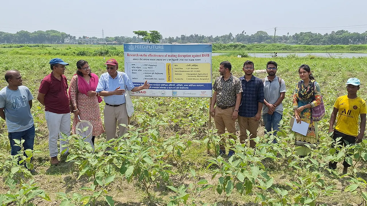 বাংলাদেশ কৃষি বিশ্ববিদ্যালয়ের গবেষক দলের সদস্যরা। ছবি : কালবেলা