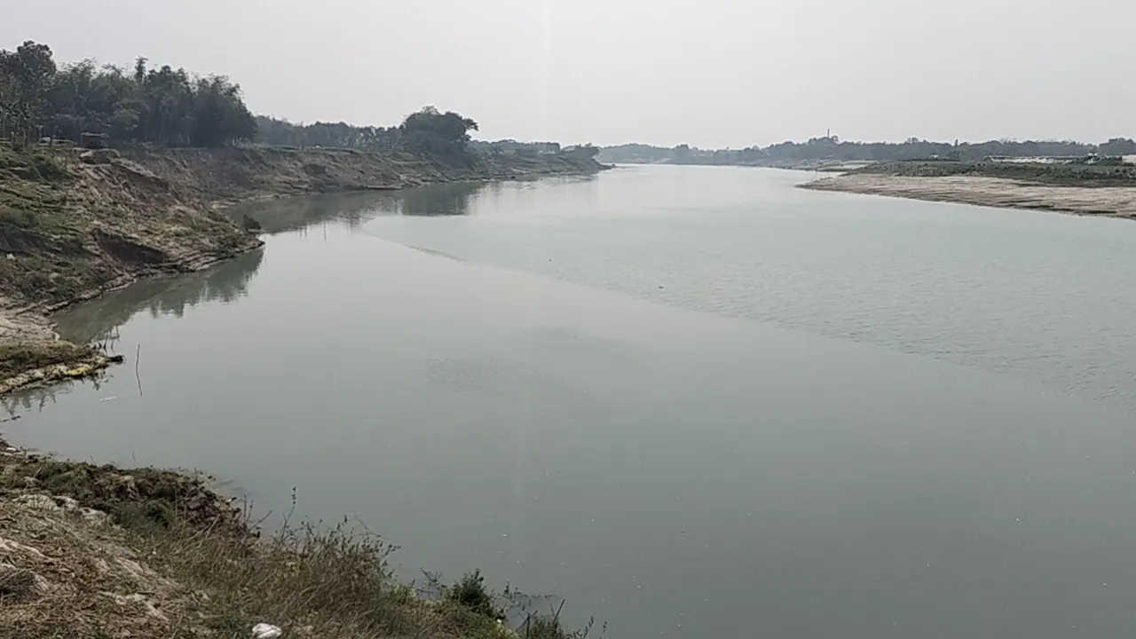 রাজবাড়ীতে কুমির আতঙ্ক। ছবি : কালবেলা