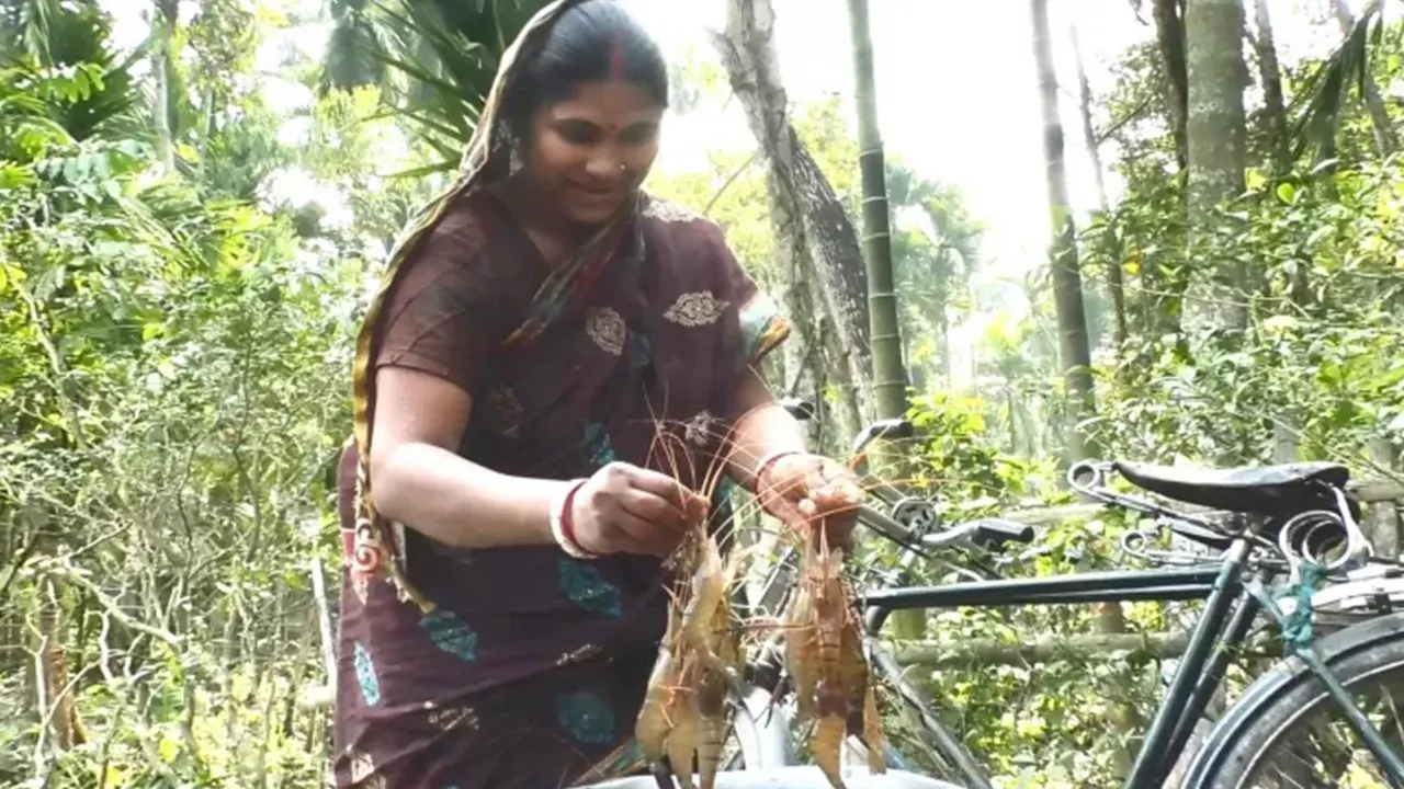 কুড়িগ্রামে চাষ হচ্ছে গলদা চিংড়ি। ছবি : সংগৃহীত