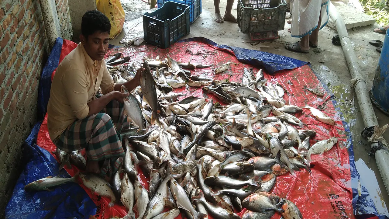 মাছ নিয়ে বসে আছেন ভুক্তভোগী। ছবি : কালবেলা