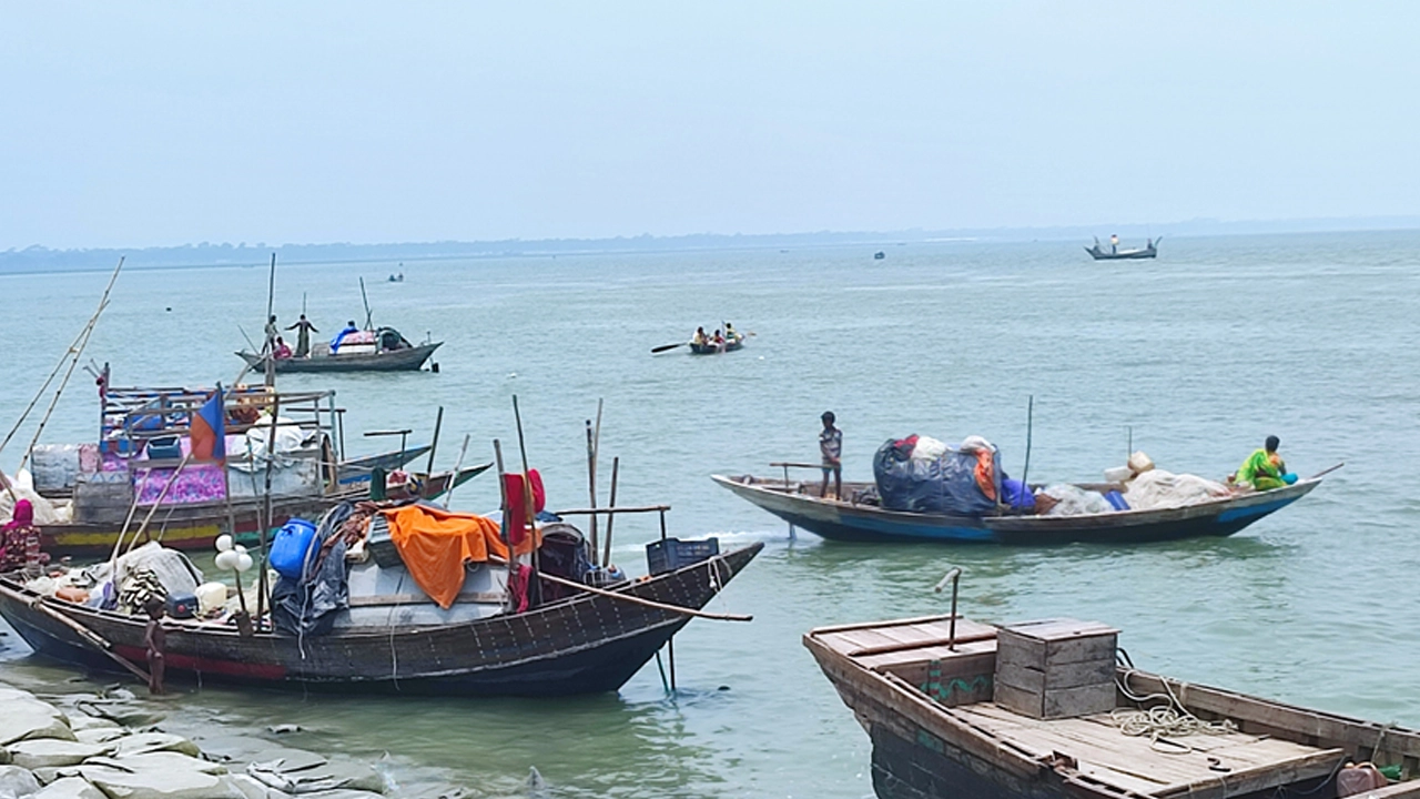 দুই মাস ইলিশ মাছ ক্রয়, বিক্রয়, পরিবহন এবং মজুত নিষিদ্ধ ঘোষণা করেছে মৎস্য অধিদপ্তর। ছবি : সংগৃহীত