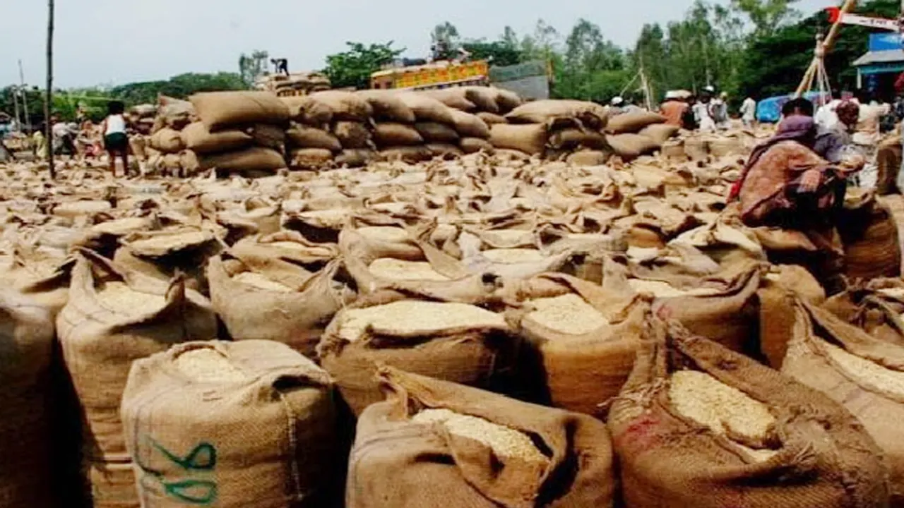 ধান সংগ্রহ কার্যক্রম। ছবি : সংগৃহীত