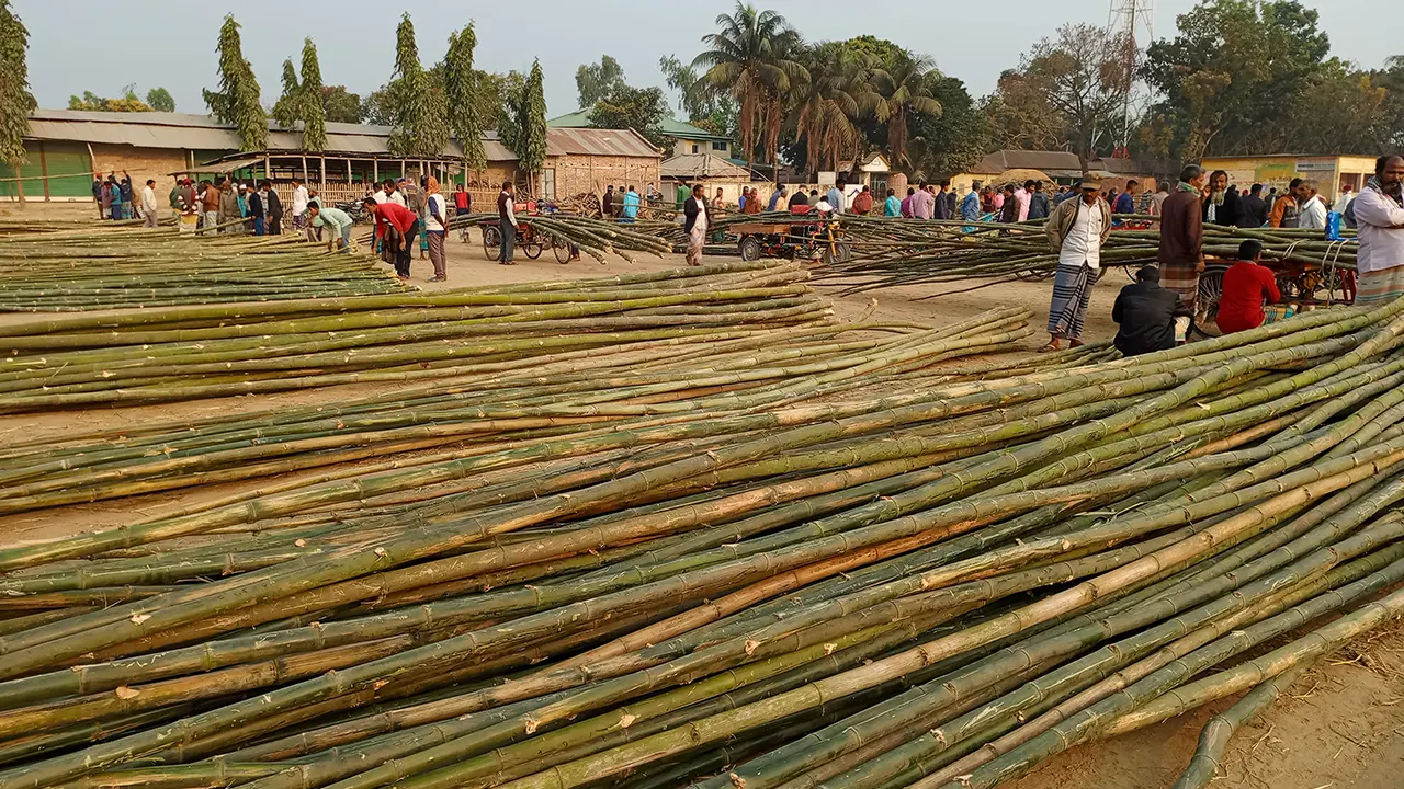 ঠাকুরগাঁওয়ে বাঁশের হাট। ছবি : কালবেলা